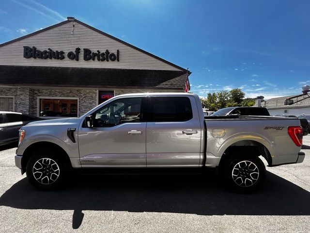 2023 Ford F-150 view 4