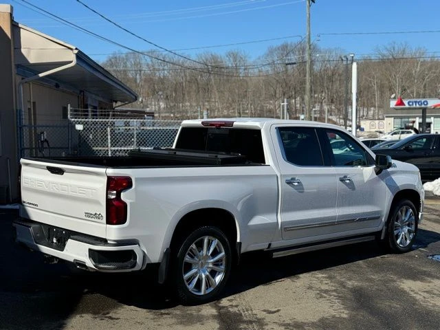 2023 Chevrolet Silverado 1500 view 5