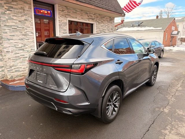 2022 Lexus NX view 5