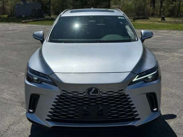 2025 Lexus RX view 2