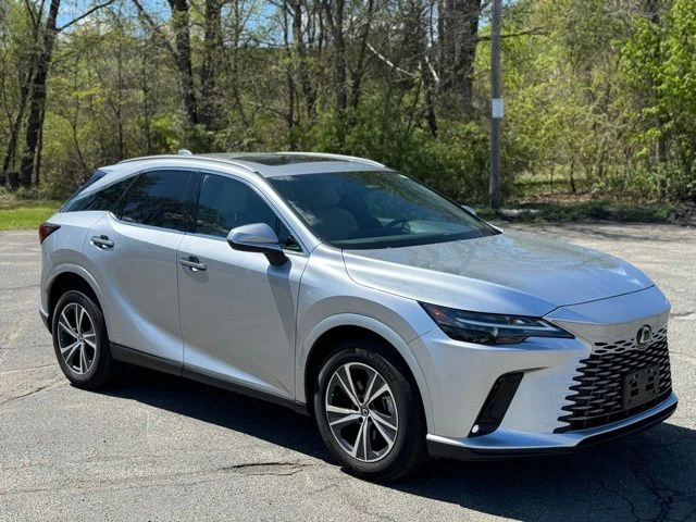 2025 Lexus RX view 3
