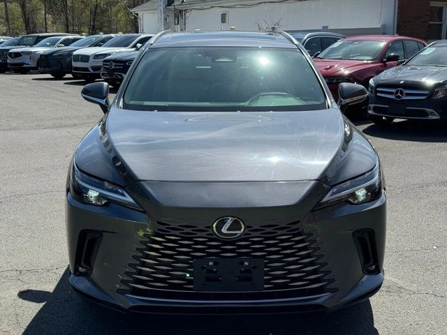 2024 Lexus RX view 2