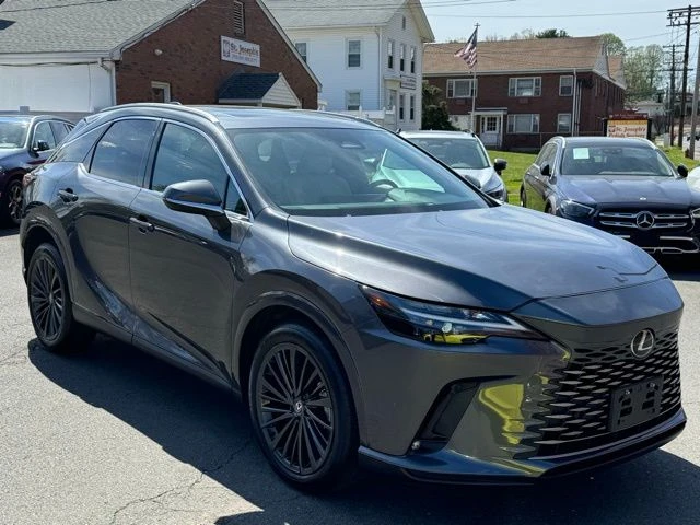 2024 Lexus RX view 3