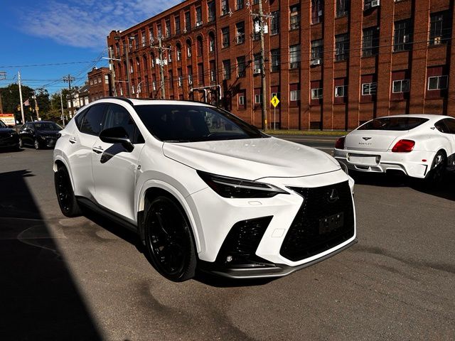 2024 Lexus NX view 3