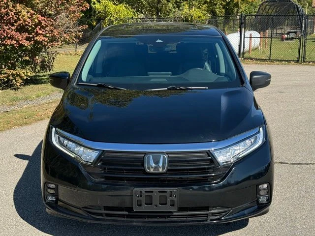 2023 Honda Odyssey view 2