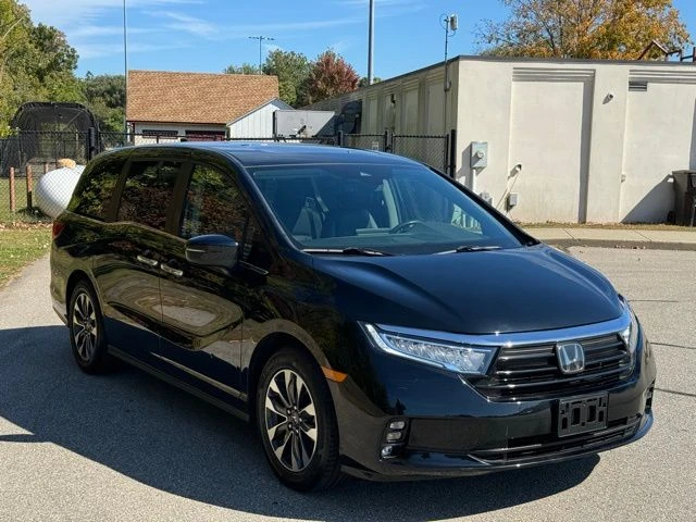 2023 Honda Odyssey view 3