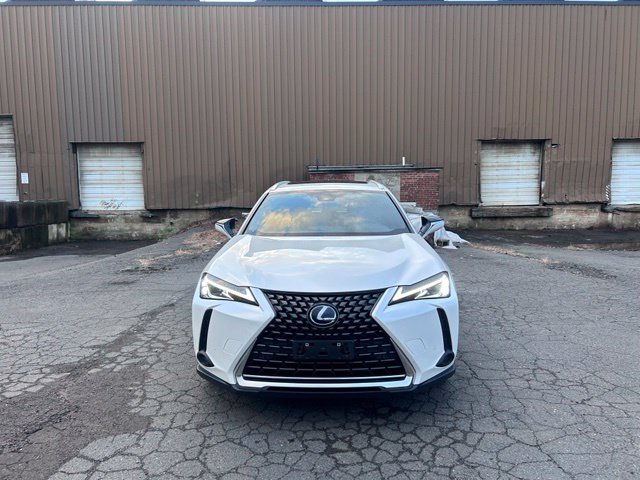 2021 Lexus UX view 2