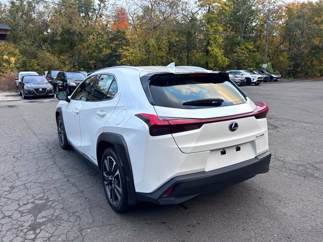 2021 Lexus UX view 5