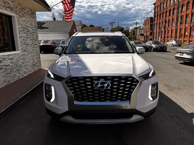 2020 Hyundai Palisade view 2