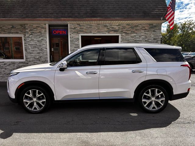 2020 Hyundai Palisade view 3