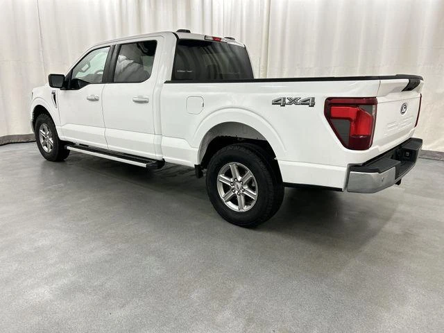 2025 Ford F-150 view 3