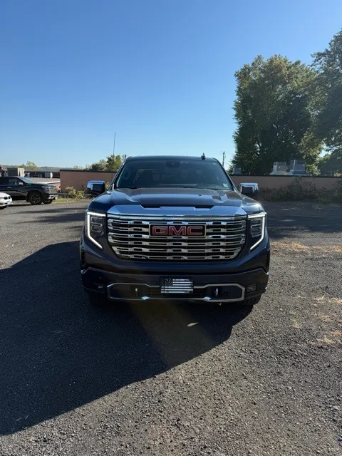 2023 Gmc Sierra 1500 Denali photo 2