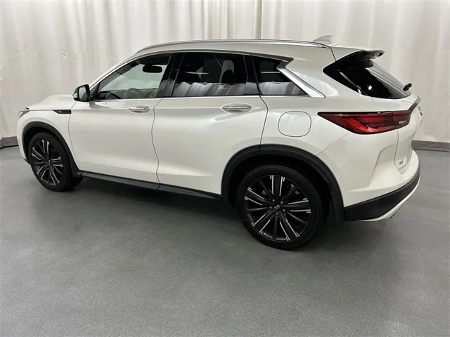 2022 Infiniti QX50 Luxe photo 2