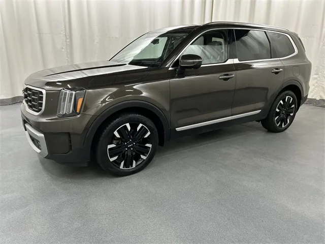 2023 Kia Telluride view 2