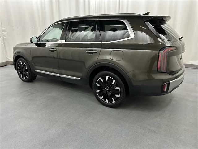 2023 Kia Telluride view 3