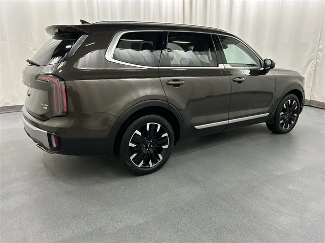 2023 Kia Telluride view 4