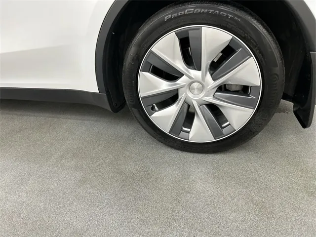 2023 Tesla Model Y view 5