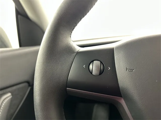 2022 Tesla Model Y Performance photo 11