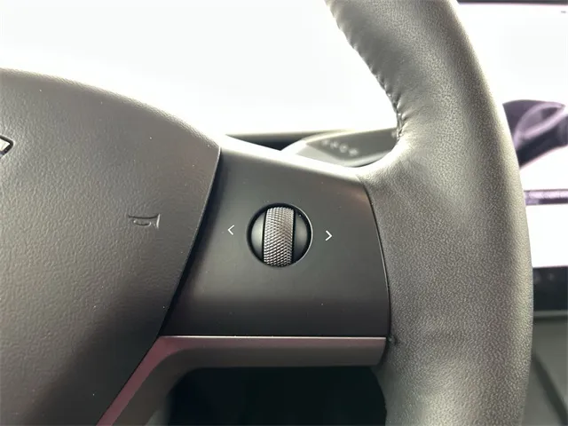 2022 Tesla Model Y Performance photo 12