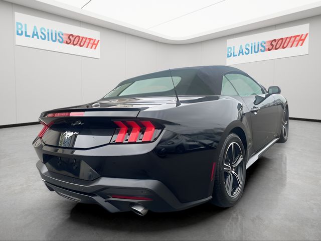 2024 Ford Mustang view 5