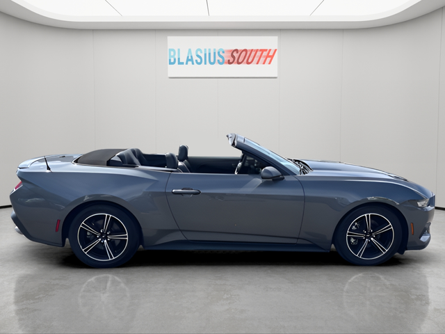 2025 Ford Mustang view 2
