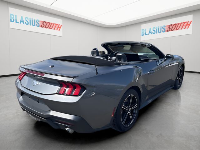 2025 Ford Mustang view 4