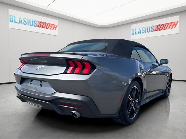 2025 Ford Mustang view 5