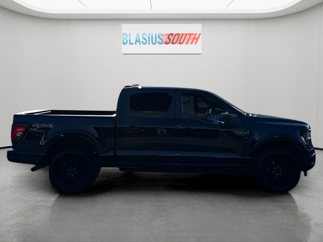 2024 Ford F-150 view 2