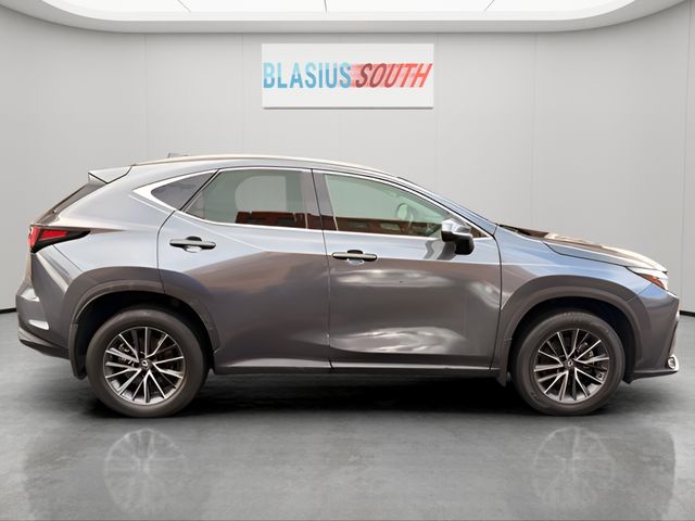 2022 Lexus NX view 2
