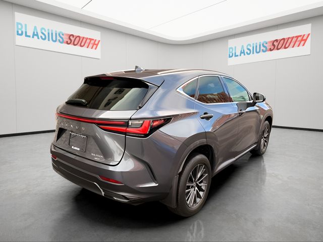 2022 Lexus NX view 3
