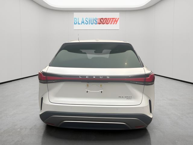 2023 Lexus RX view 4