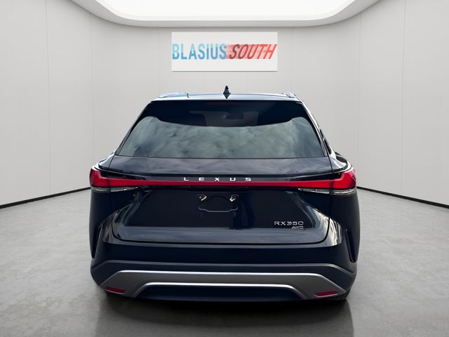 2024 Lexus RX view 4
