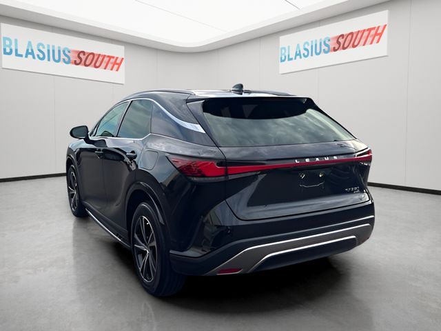 2024 Lexus RX view 5