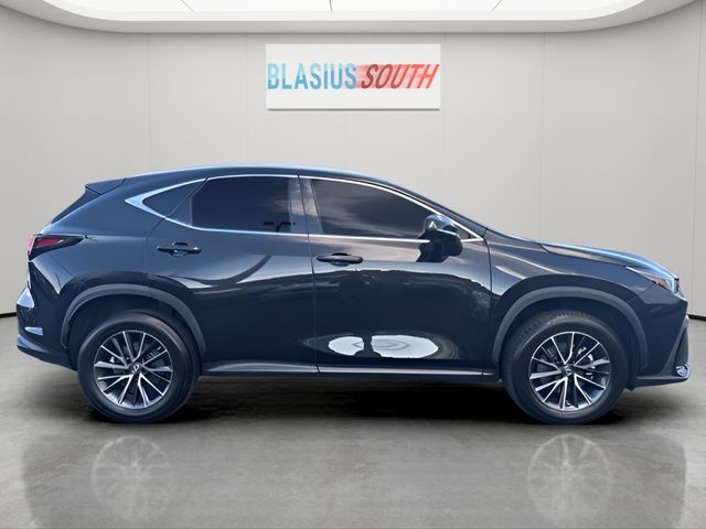 2023 Lexus NX view 2