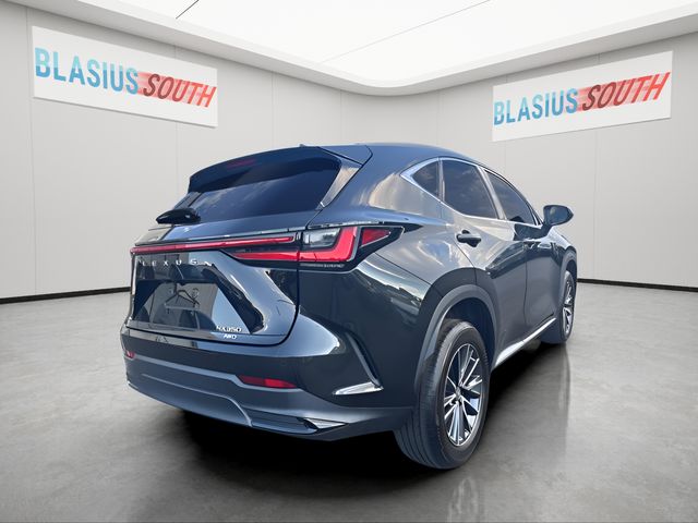 2023 Lexus NX view 3