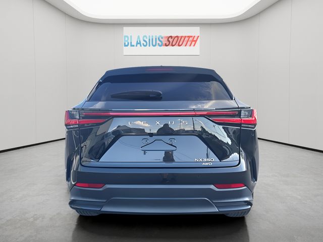 2023 Lexus NX view 4