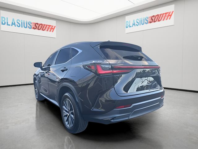 2023 Lexus NX view 5