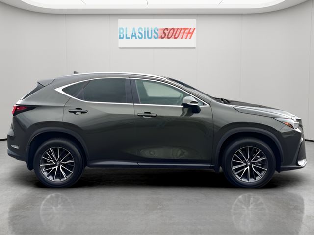 2023 Lexus NX view 2