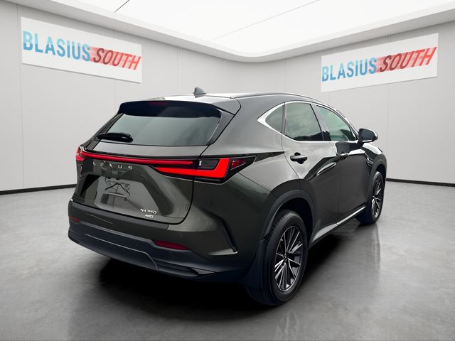 2023 Lexus NX view 3