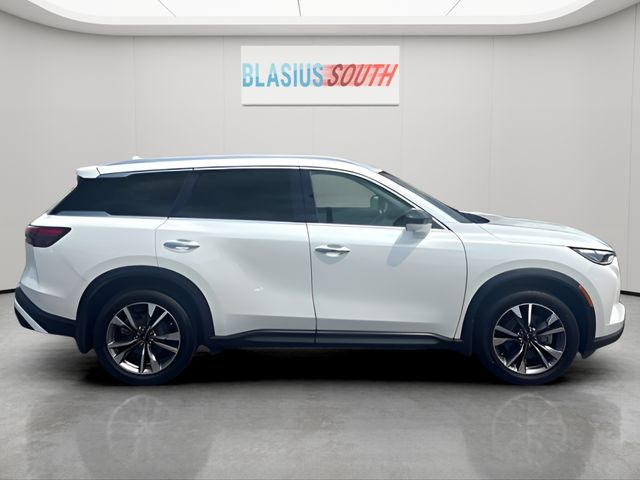 2023 INFINITI QX60 view 2