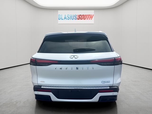 2023 INFINITI QX60 view 4