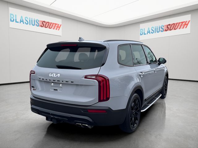 2022 Kia Telluride view 3
