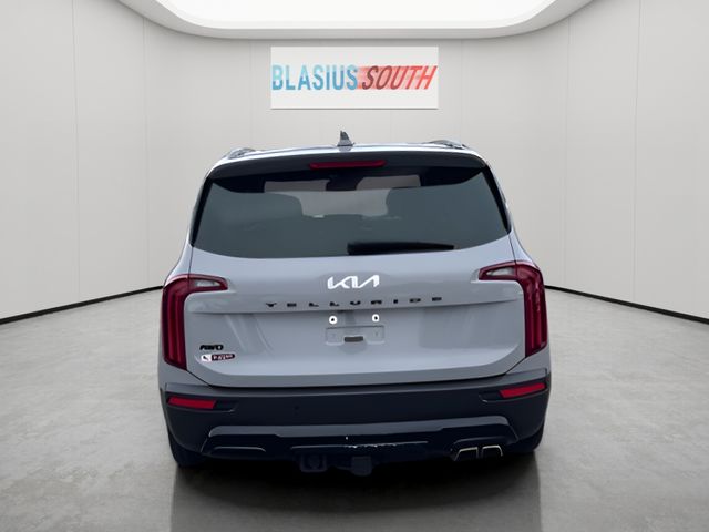 2022 Kia Telluride view 4
