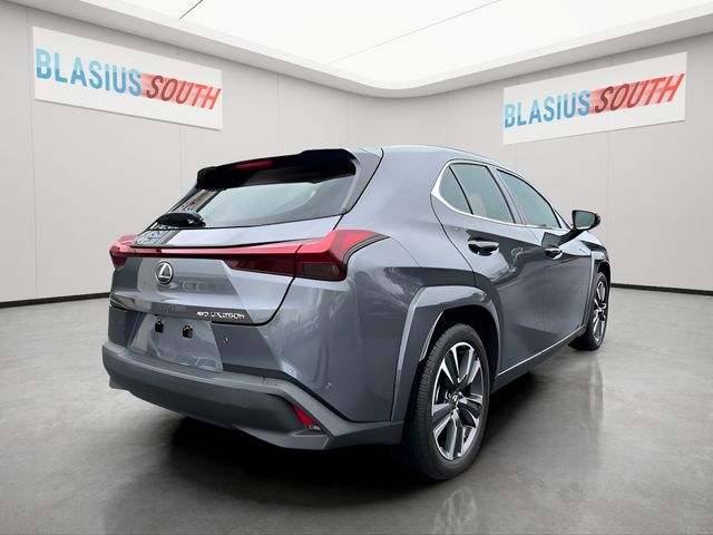 2023 Lexus UX view 3