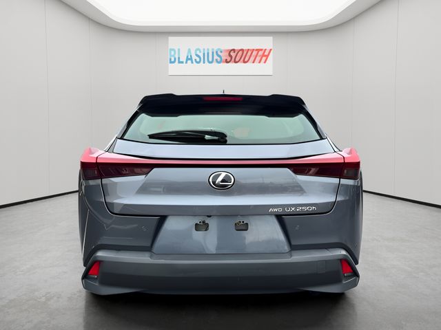 2023 Lexus UX view 4