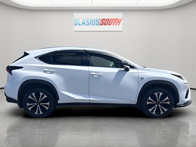 2018 Lexus NX view 2