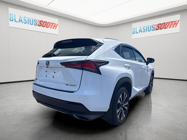 2018 Lexus NX view 3