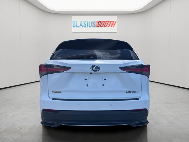 2018 Lexus NX view 4