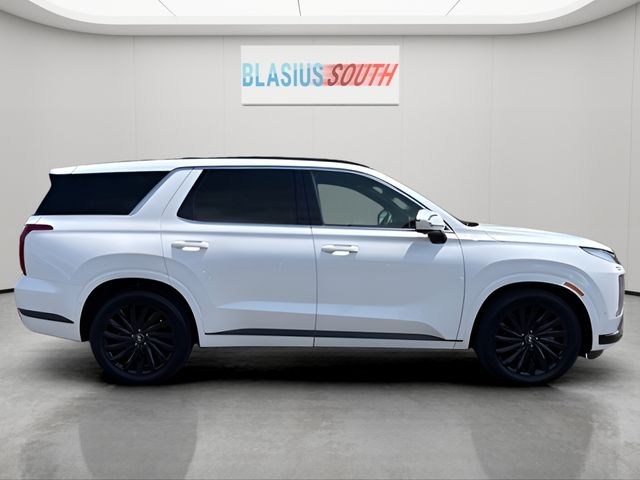 2025 Hyundai Palisade view 2