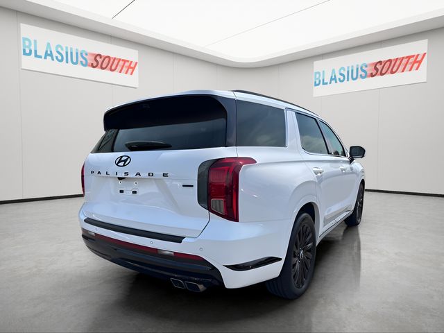2025 Hyundai Palisade view 3